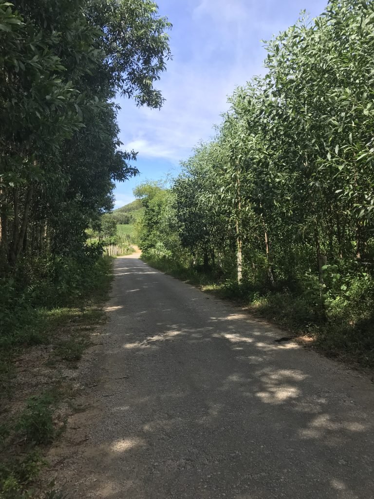 Cycling the Ho Chi Minh trail – Live the legend 8 Days